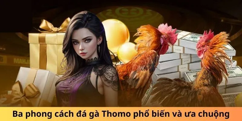 Ba phong cách đá gà Thomo phổ biến và ưa chuộng