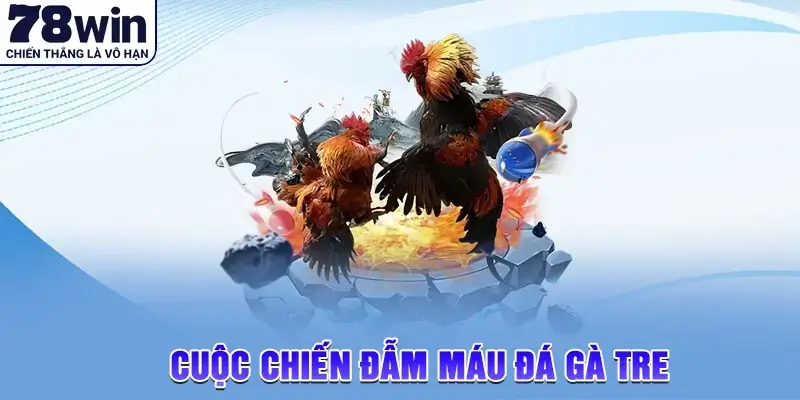 Lịch sử và nguồn gốc đá gà tre