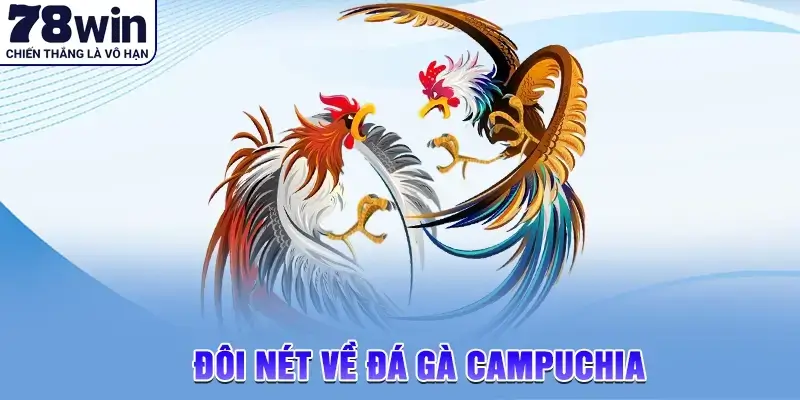 Đôi nét về đá gà campuchia